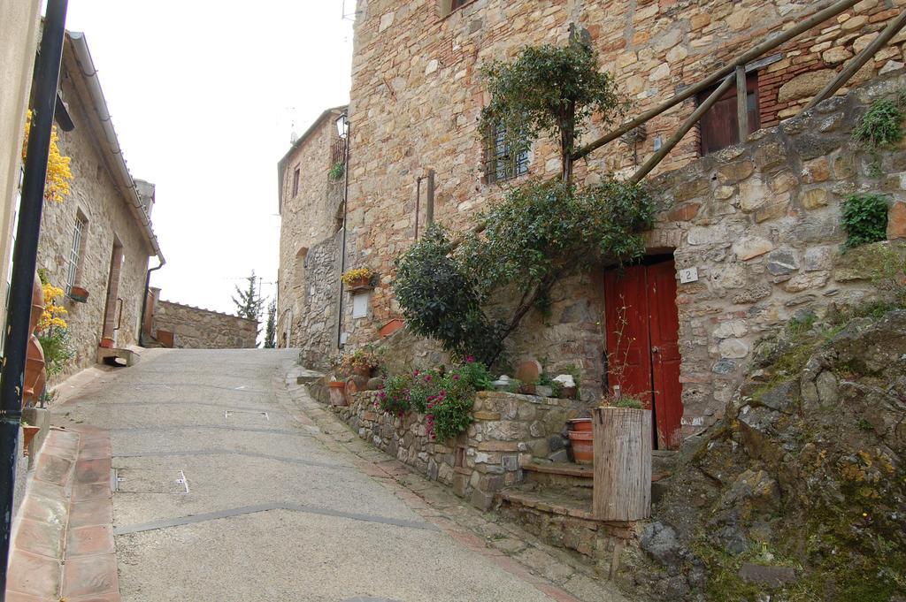 Hotel Emily House Montecerboli Exterior foto